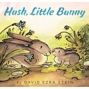 Hush, Little Bunny - DAVID EZRA STEIN -